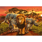 Afrykańskie Królestwo 3D